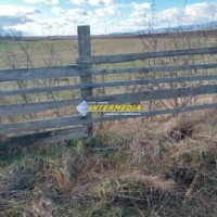 teren-intravilan-cu-constructie-de-vanzare-in-alba-iulia-20000-mp-4