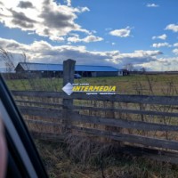 teren-intravilan-cu-constructie-de-vanzare-in-alba-iulia-20000-mp-5