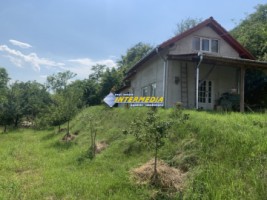 casa-de-vacanta-in-blandiana-pm-cu-2000-mp-teren-aproape-de-alba-iulia-13