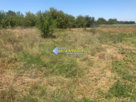 teren-intravilan-de-vanzare-600-mp-1