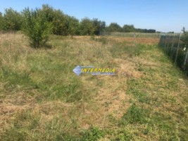 teren-intravilan-de-vanzare-600-mp-2