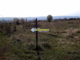 teren-intravilan-de-vanzare-600mp-2