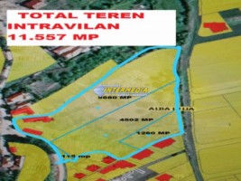 teren-intravilan-11557-mp-cu-casa-la-rosu-de-vanzare-alba-micesti-partea-dreapta