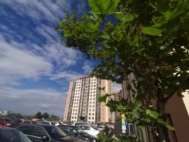 apartament-cu-2-camere-de-vanzare-in-iasi-lunca-cetatuii-decomandat-43-mpla-100-de-m-de-lidl-9