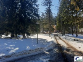 teren-intravilan-situat-in-predeal-valea-rasnoavei-9