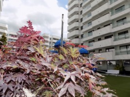 apartament-2-camere-69-mp-2-balcoane-royal-town-copou-iasi-2