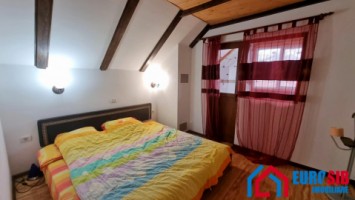 cabana-cu-iesire-la-rau-in-sibiu-valea-avrigului-7