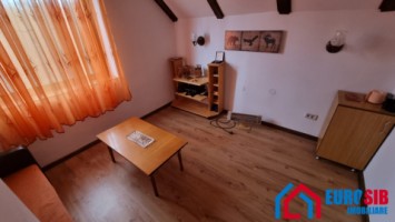 cabana-cu-iesire-la-rau-in-sibiu-valea-avrigului-12