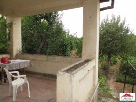 casa-cu-teren-1147-mp-centru-id-22371-7