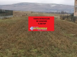 teren-intravilan-4200-mp-de-vanzare-alba-micesti-2