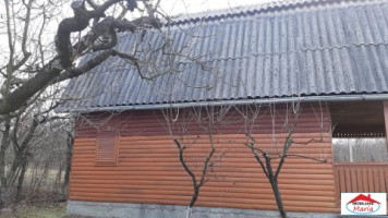 casa-de-vacanta-cu-teren-25-ari-in-ardud-vii-id-22376-7