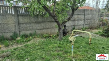 casa-mica-cu-teren-14-ari-zona-lucian-blaga-id-22422-1