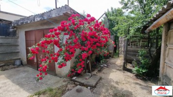 casa-cu-gradina-strada-dara-id-22442-9