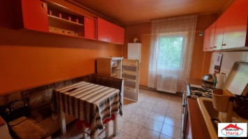 apartament-2-camere-decomandate-carpati-2-id-22473-3