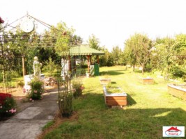 casa-semicentrala-cu-curte-de-inchiriat-id-21503