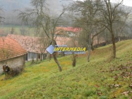 casa-curte-si-gradina-11076-mp-comuna-almasu-mare-3