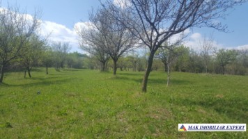 teren-intraextravilan-3600-mp-musatesti-arges-ideal-pentru-constructii-si-agricultura-6