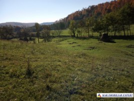 teren-intravilan-6000-mp-de-vanzare-in-albestii-de-muscel-candesti-oportunitate-pentru-dezvoltare-rezidentiala