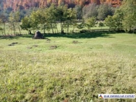 teren-intravilan-6000-mp-de-vanzare-in-albestii-de-muscel-candesti-oportunitate-pentru-dezvoltare-rezidentiala-1