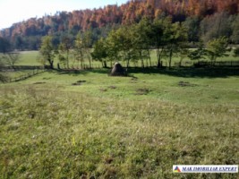 teren-intravilan-6000-mp-de-vanzare-in-albestii-de-muscel-candesti-oportunitate-pentru-dezvoltare-rezidentiala-11