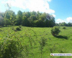 teren-extravilan-2800-mp-in-cretisoara-campulung-muscel-arges-oportunitate-pentru-agricultura-si-investitii-2