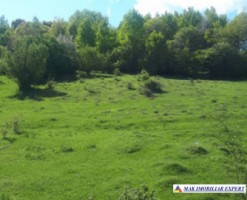 teren-extravilan-2800-mp-in-cretisoara-campulung-muscel-arges-oportunitate-pentru-agricultura-si-investitii-1