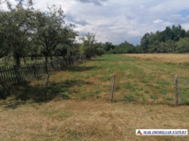 vand-teren-extravilan-4600-mp-divizat-in-2700-mp-si-1900-mp-stalpeni-arges-ideal-pentru-proiecte-agricole-sau-recreative-6