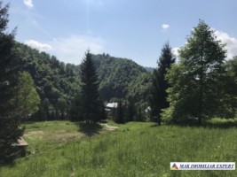 cabana-cu-7-camere-si-teren-de-5000-mp-in-muntii-leaota-cetateni-arges-oportunitate-pentru-relaxare-si-investitie-turistica-26