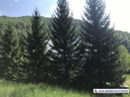 cabana-cu-7-camere-si-teren-de-5000-mp-in-muntii-leaota-cetateni-arges-oportunitate-pentru-relaxare-si-investitie-turistica-27