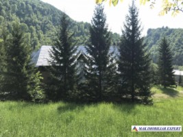 cabana-cu-7-camere-si-teren-de-5000-mp-in-muntii-leaota-cetateni-arges-oportunitate-pentru-relaxare-si-investitie-turistica-28