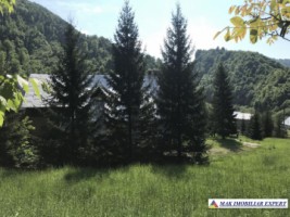 cabana-cu-7-camere-si-teren-de-5000-mp-in-muntii-leaota-cetateni-arges-oportunitate-pentru-relaxare-si-investitie-turistica-29