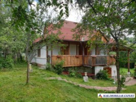 casa-de-vanzare-arges-casa-4-camere-cu-crama-si-teren-994-mp-in-nucsoara-urgenta-3