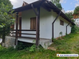 casa-de-vanzare-arges-casa-4-camere-cu-crama-si-teren-994-mp-in-nucsoara-urgenta-1