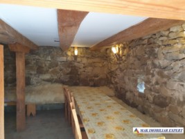 casa-de-vanzare-arges-casa-4-camere-cu-crama-si-teren-994-mp-in-nucsoara-urgenta-5