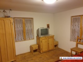 casa-de-vanzare-arges-casa-4-camere-cu-crama-si-teren-994-mp-in-nucsoara-urgenta-13