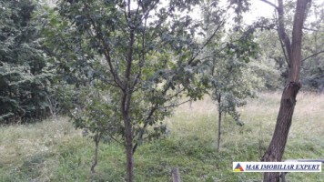 teren-extraintravilan-7850-mp-cu-livada-in-valea-barbusii-chilii-campulung-muscel-arges-ideal-pentru-agricultura-si-investitii-5