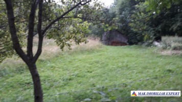 teren-extraintravilan-7850-mp-cu-livada-in-valea-barbusii-chilii-campulung-muscel-arges-ideal-pentru-agricultura-si-investitii-6