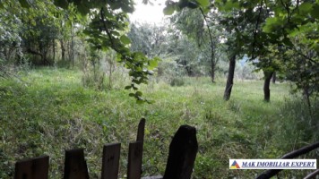 teren-extraintravilan-7850-mp-cu-livada-in-valea-barbusii-chilii-campulung-muscel-arges-ideal-pentru-agricultura-si-investitii-7