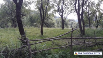 teren-extraintravilan-7850-mp-cu-livada-in-valea-barbusii-chilii-campulung-muscel-arges-ideal-pentru-agricultura-si-investitii-8