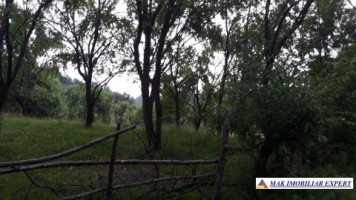 teren-extraintravilan-7850-mp-cu-livada-in-valea-barbusii-chilii-campulung-muscel-arges-ideal-pentru-agricultura-si-investitii-9