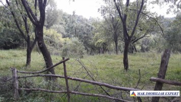 teren-extraintravilan-7850-mp-cu-livada-in-valea-barbusii-chilii-campulung-muscel-arges-ideal-pentru-agricultura-si-investitii-10