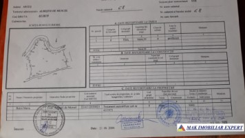 teren-extravilan-5665-mp-de-vanzare-in-albestii-de-muscel-candesti-ideal-pentru-investitii-agricole-10