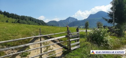 teren-intravilan-de-1-ha-de-vanzare-in-valea-cheii-dambovicioara-arges-9