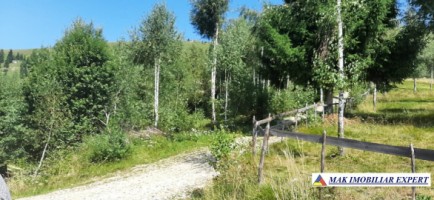 teren-intravilan-de-1-ha-de-vanzare-in-valea-cheii-dambovicioara-arges-3