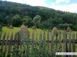 teren-1768-mp-intravilan-stoienesti-badeni-7