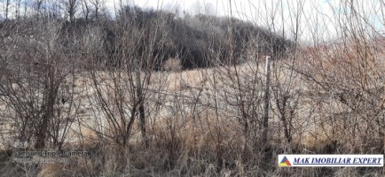 teren-de-vanzare-2500-mp-extravilan-in-apa-sarata-campulung-muscel-arges-ideal-pentru-agricultura-si-investitii