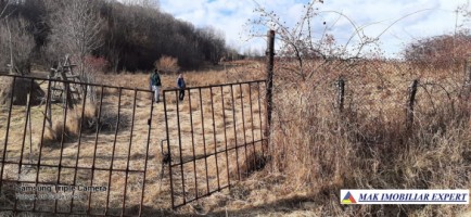 teren-de-vanzare-2500-mp-extravilan-in-apa-sarata-campulung-muscel-arges-ideal-pentru-agricultura-si-investitii-1