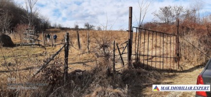 teren-de-vanzare-2500-mp-extravilan-in-apa-sarata-campulung-muscel-arges-ideal-pentru-agricultura-si-investitii-2