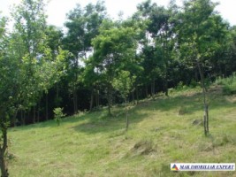 vand-teren-intravilan-de-2130-mp-in-apa-sarata-campulung-muscel-arges-5