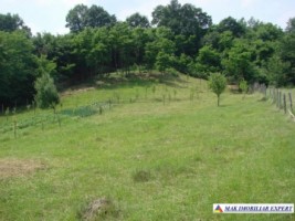 vand-teren-intravilan-de-2130-mp-in-apa-sarata-campulung-muscel-arges-6